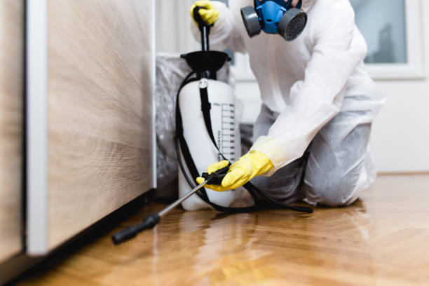 Insect Control in Orchard City, CO