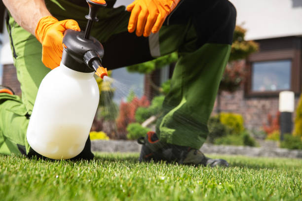 Best Affordable Pest Control Services  in Orchard City, CO
